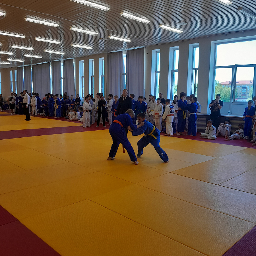 img-15797